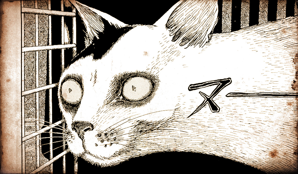 Rejtett polc #5 – Junji Ito: Junji Ito’s Cat Diary: Yon & Mu